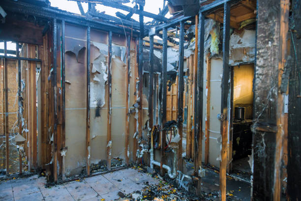 Professional Soot Cleanup technician working in Mullica Hill, NJ